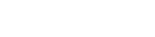 Lead Authority