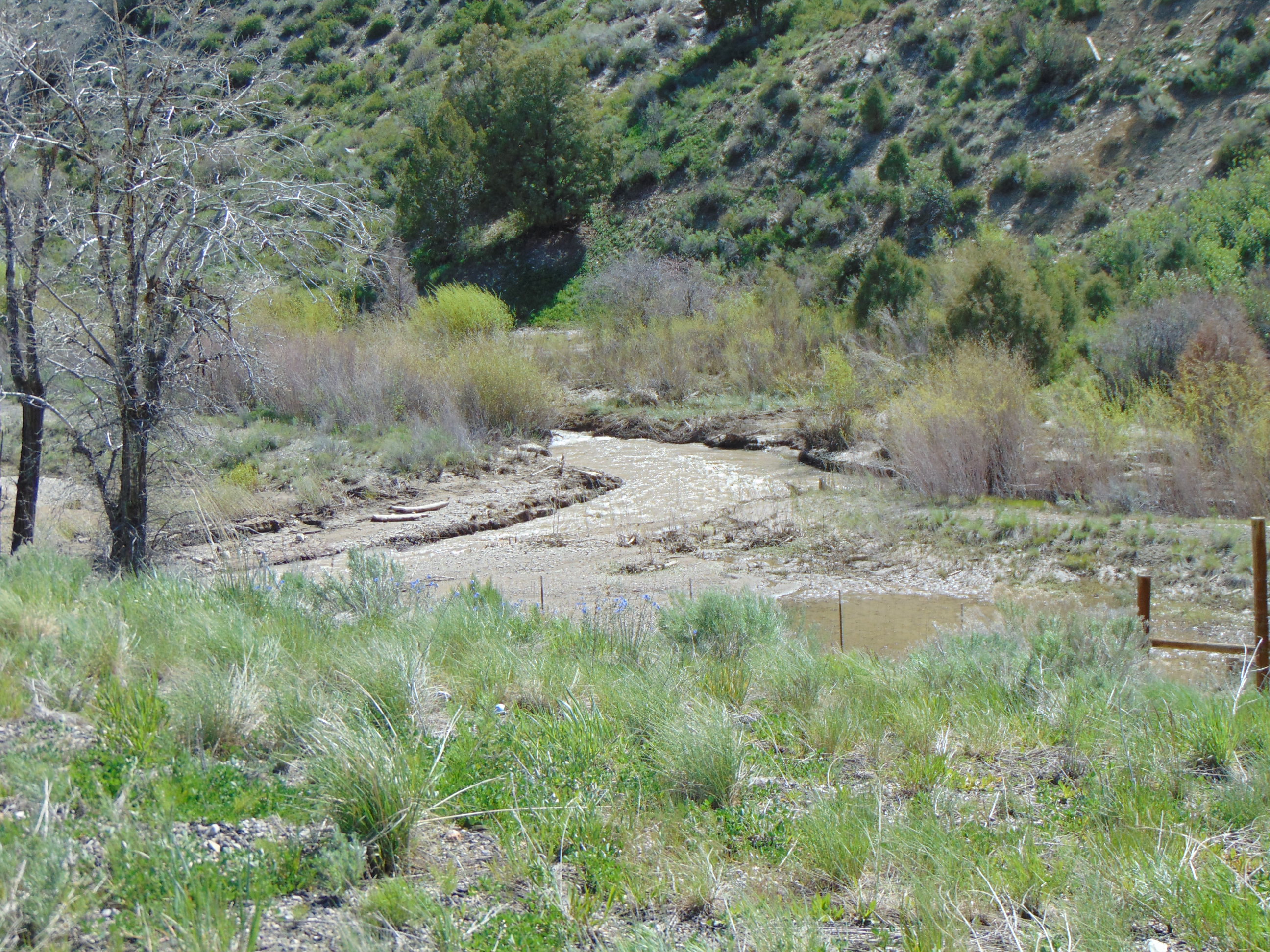 Soldier Creek